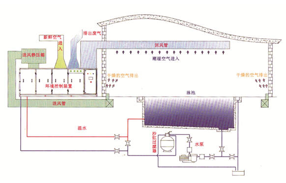 瀚宇水處理：如果做好這些，奧運泳池怎么會“綠”?